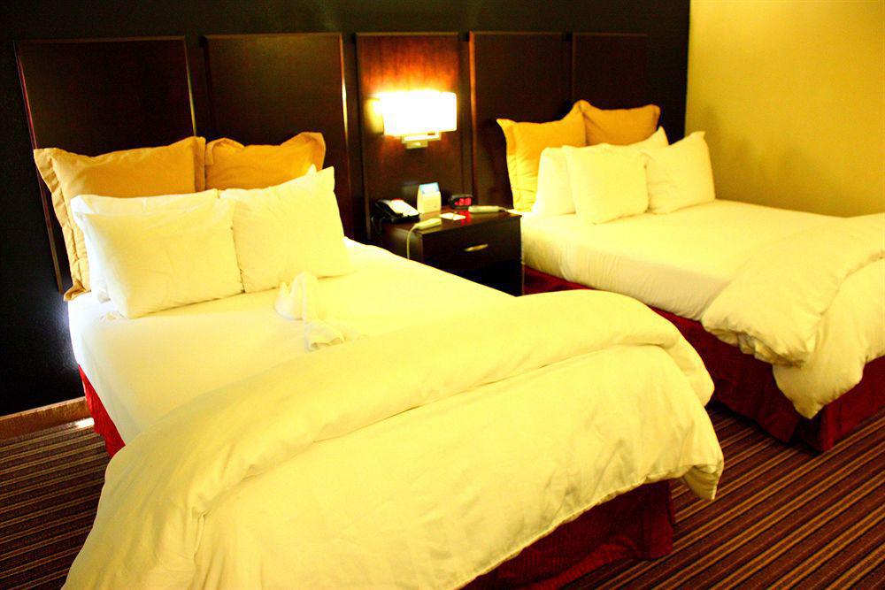 วินด์แฮม การ์เดน นอร์ฟอล์ค ดาวน์ทาวน์ Hotel นอร์ฟอล์ก ภายนอก รูปภาพ